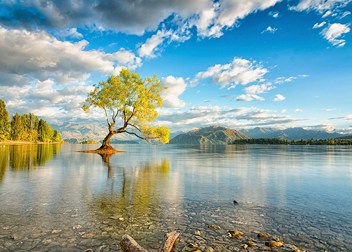 https://d3r8gwkgo0io6y.cloudfront.net/upload/A1/new-zealand-wanaka-lake-2.jpg