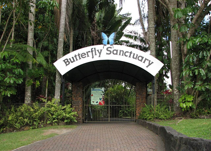 https://d3r8gwkgo0io6y.cloudfront.net/upload/AA/australia-cairns-butterfly-park-1.jpg