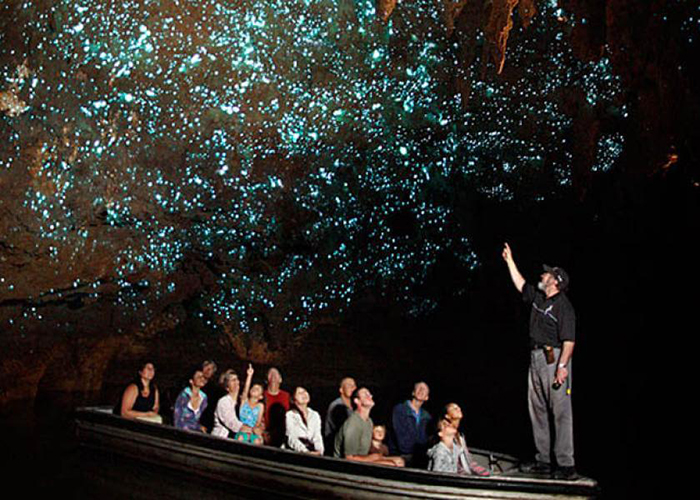 https://d3r8gwkgo0io6y.cloudfront.net/upload/AN/new-zealand-rotorua-glow-worm-silent-boat-ride-1.jpg