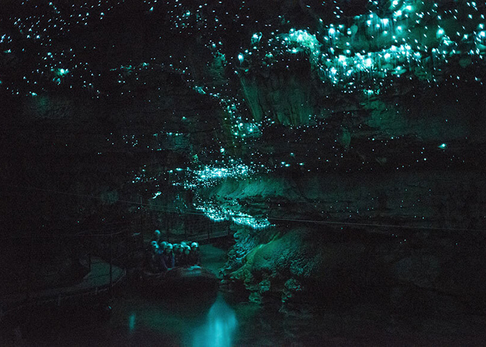 https://d3r8gwkgo0io6y.cloudfront.net/upload/AN/new-zealand-rotorua-waitoma-caves.jpg