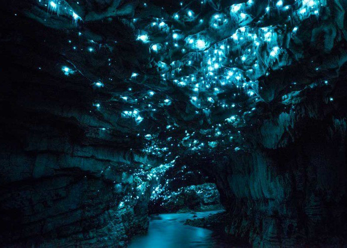 https://d3r8gwkgo0io6y.cloudfront.net/upload/AN/new-zealand-rotorua-waitomo-Caves-2.jpg