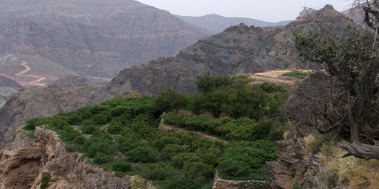 https://d3r8gwkgo0io6y.cloudfront.net/upload/Al-Jabal-Al-Akhdar(Green-Mountain).jpg