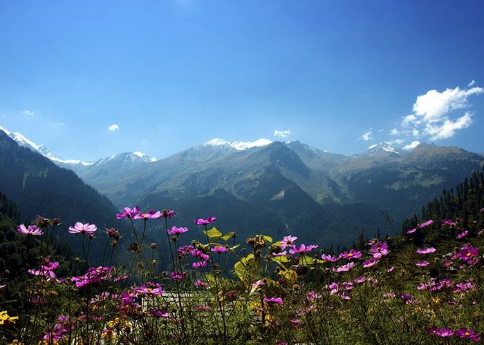 https://d3r8gwkgo0io6y.cloudfront.net/upload/CE/India-himachal-pradesh-manali-chandigarh-6.jpg