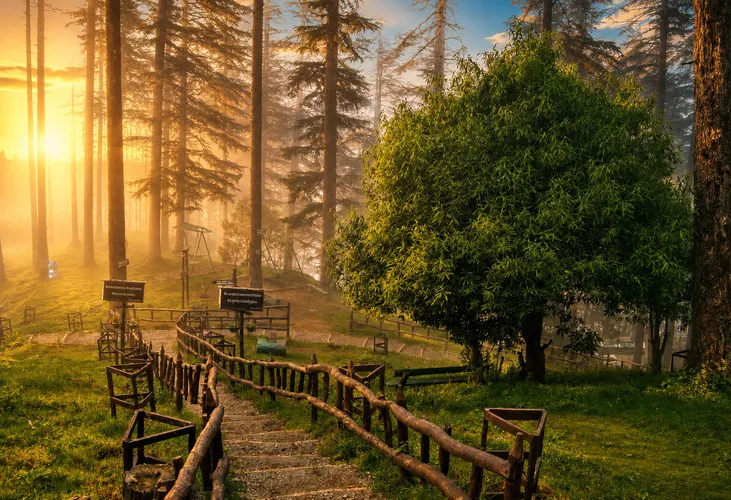 Mussoorie Landour with Rishikesh Honeymoon Special