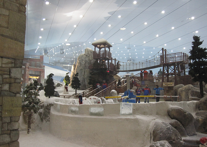 https://d3r8gwkgo0io6y.cloudfront.net/upload/D1/UAE-Dubai-emirate-mall-skidubai-3.jpg