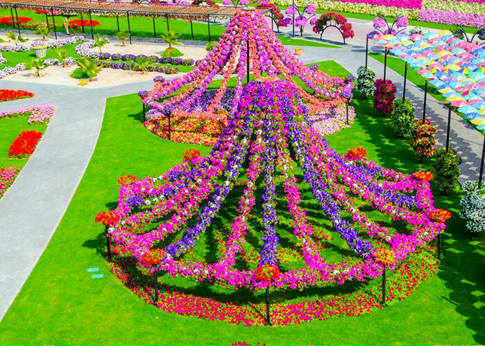 https://d3r8gwkgo0io6y.cloudfront.net/upload/D1/UAE-abu-dhabi-miracal-garden-3.jpg