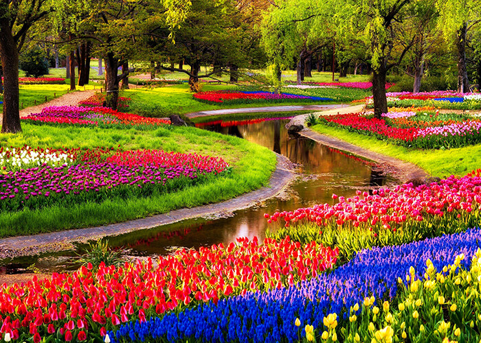 https://d3r8gwkgo0io6y.cloudfront.net/upload/E4/netherland-lisse-kuekenhof-3.jpg