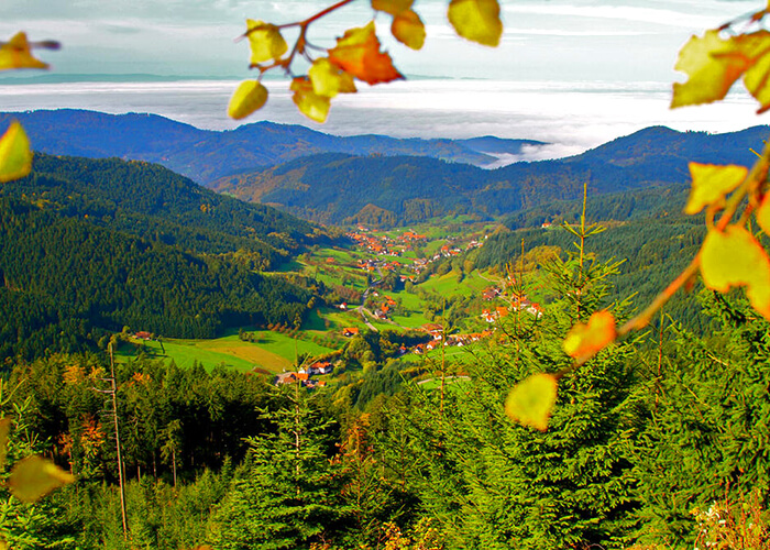 https://d3r8gwkgo0io6y.cloudfront.net/upload/E6/germany-black--forest-1.jpg