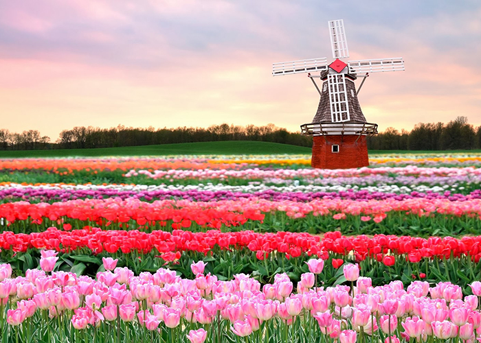 https://d3r8gwkgo0io6y.cloudfront.net/upload/E6/netherland-lisse-kuekenhof-2.jpg