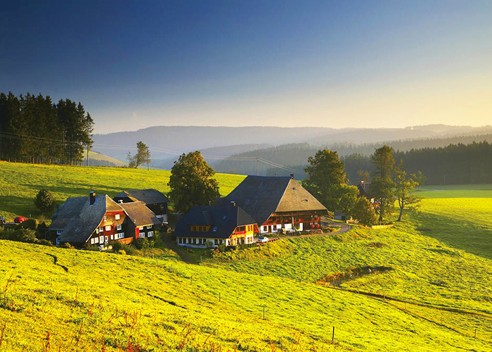 https://d3r8gwkgo0io6y.cloudfront.net/upload/E7/germany-black--forest-2.jpg