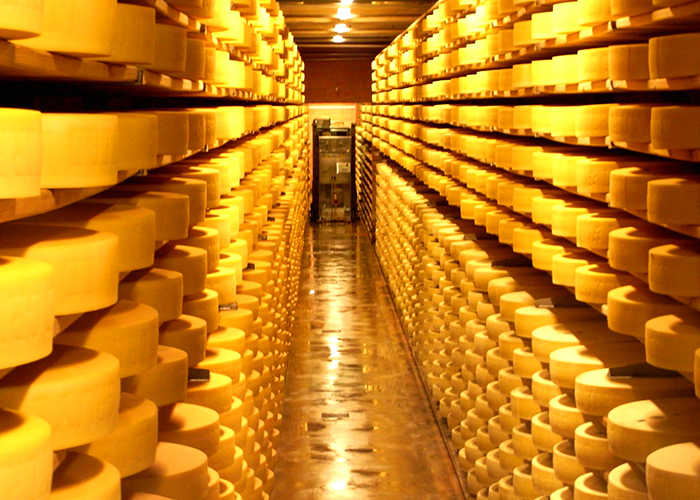 https://d3r8gwkgo0io6y.cloudfront.net/upload/EM/switzerland-cailler--cheese-factory--2.jpg
