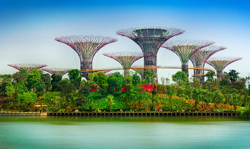 https://d3r8gwkgo0io6y.cloudfront.net/upload/F2/singapore-garden-by-the-bay.jpg