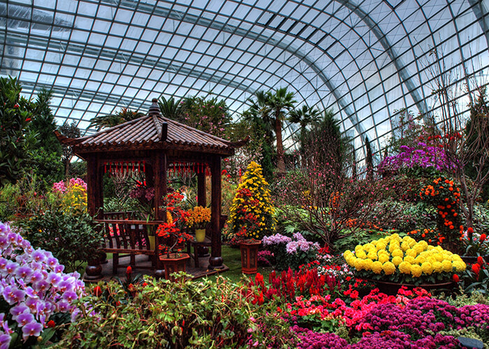 https://d3r8gwkgo0io6y.cloudfront.net/upload/F8/Singapore-City-Garden-by-the-bay-Flower-dome2.jpg