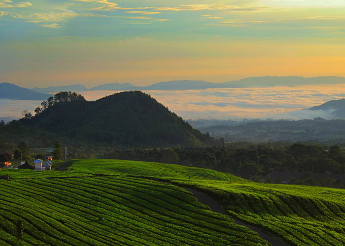 https://d3r8gwkgo0io6y.cloudfront.net/upload/FI/asia-Indonesia-Bandung1.jpg