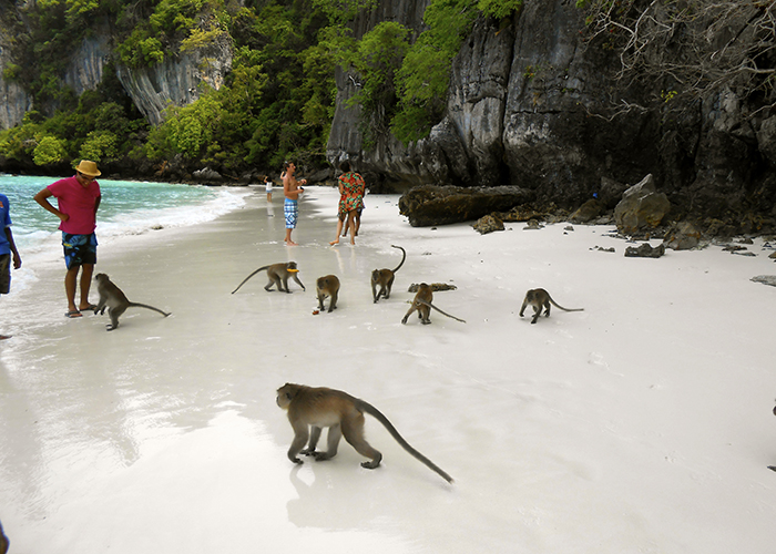 https://d3r8gwkgo0io6y.cloudfront.net/upload/FY/thailand-phuket-money-beach.jpg
