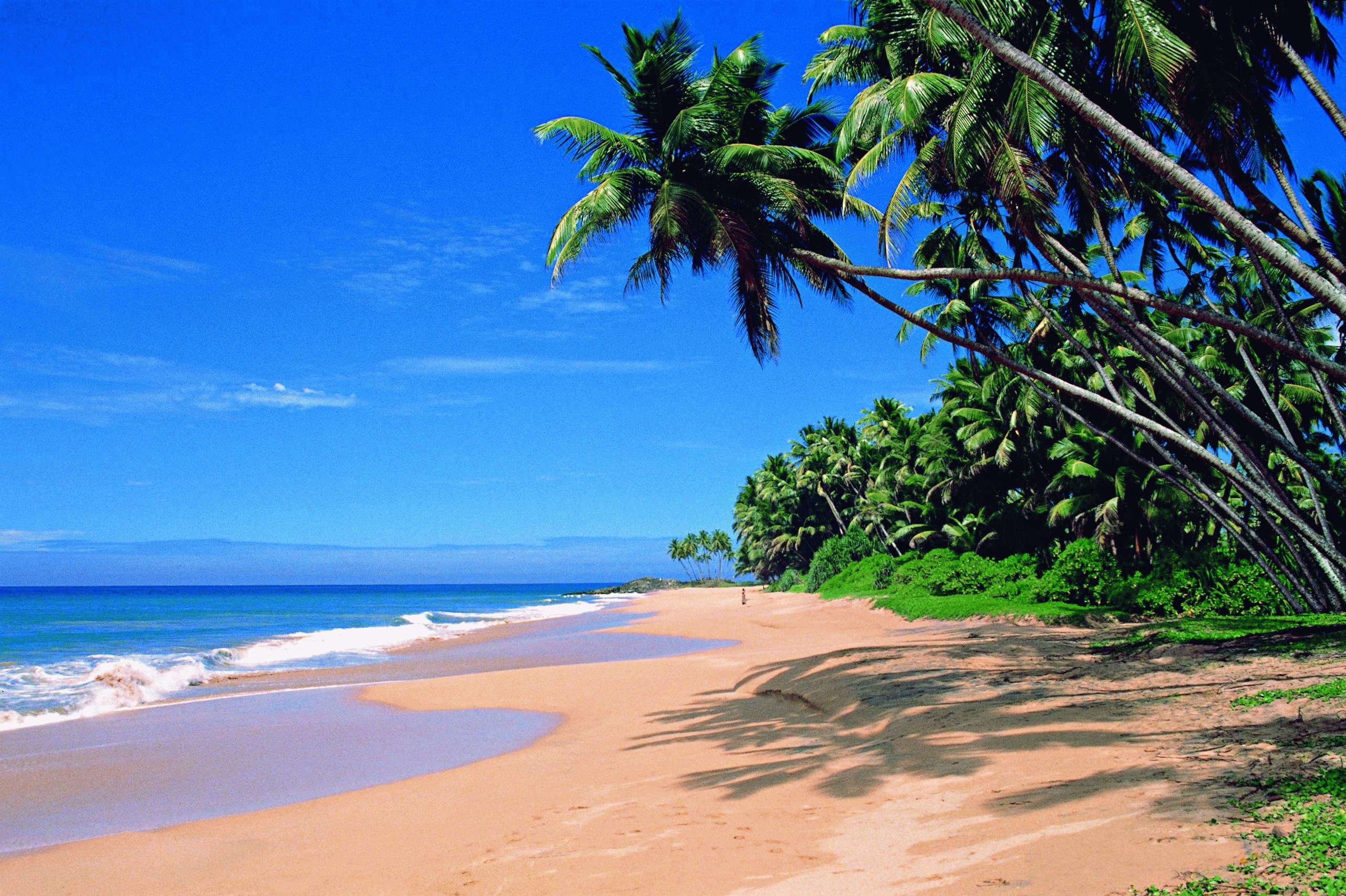 https://d3r8gwkgo0io6y.cloudfront.net/upload/GOA.jpg