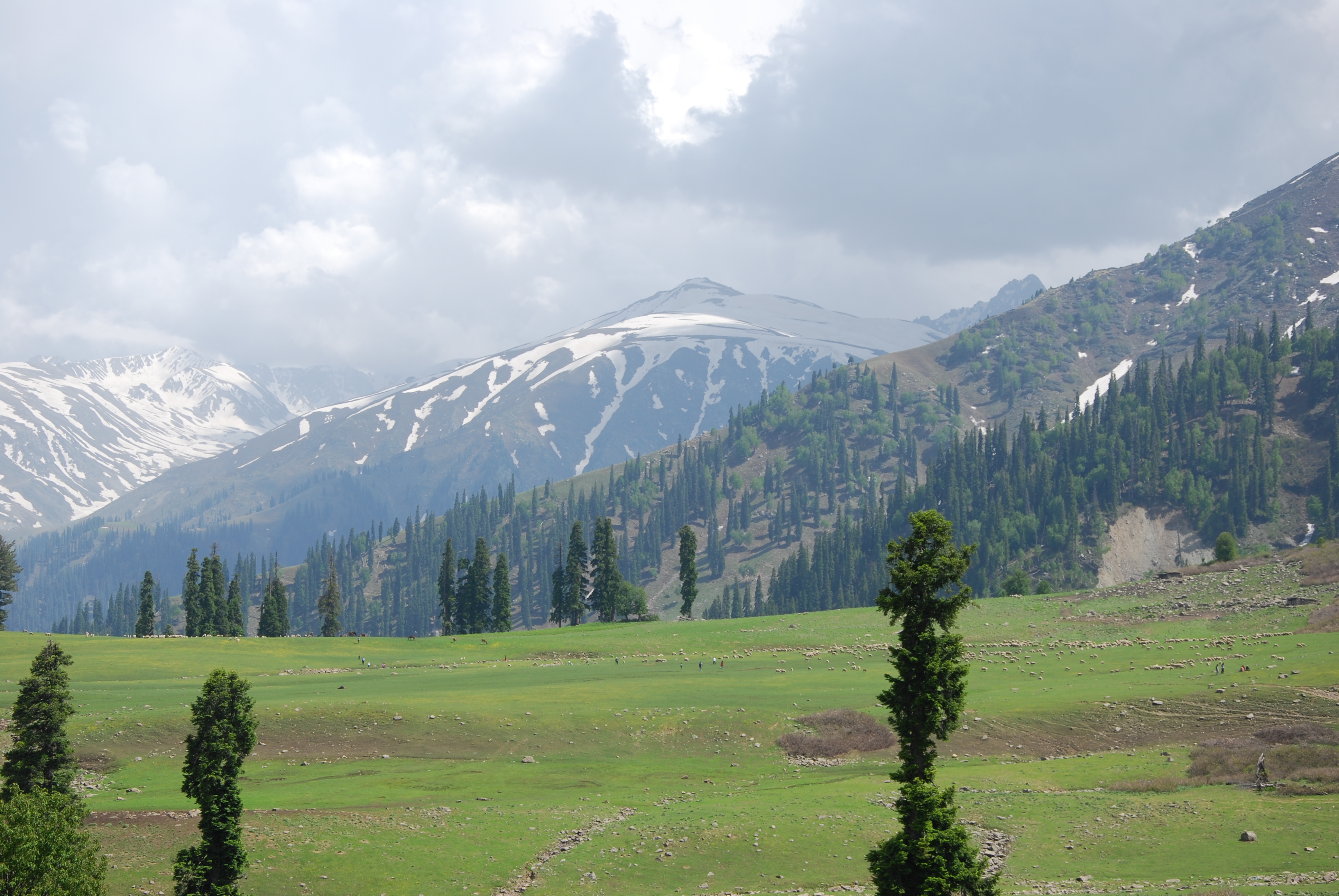 https://d3r8gwkgo0io6y.cloudfront.net/upload/Gulmarg-2.jpg