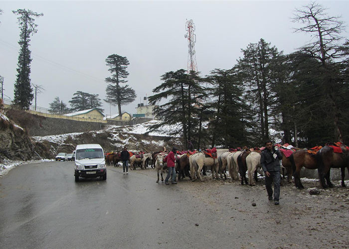 https://d3r8gwkgo0io6y.cloudfront.net/upload/HC/India-himachal-pradesh-shimal-Kurfi-Road-.jpg