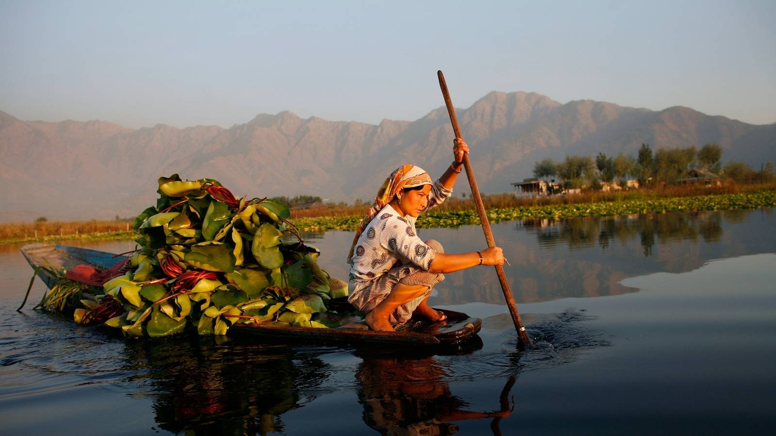 https://d3r8gwkgo0io6y.cloudfront.net/upload/K7/India-kashmir-srinagar-dallake-3.jpg