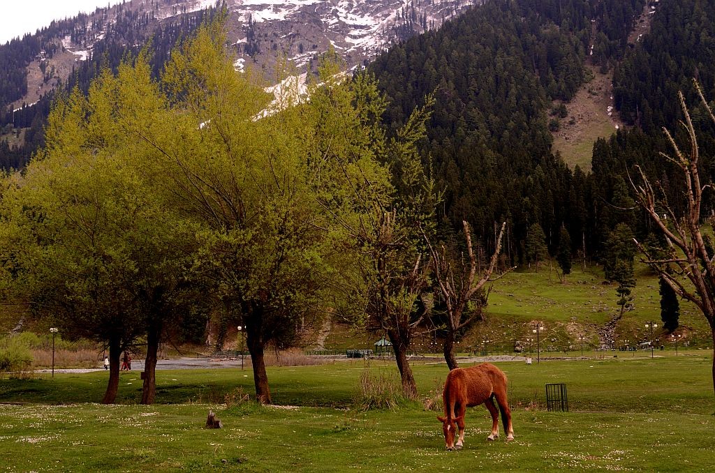 https://d3r8gwkgo0io6y.cloudfront.net/upload/KA/India-kashmir-pahalgam-45.jpg