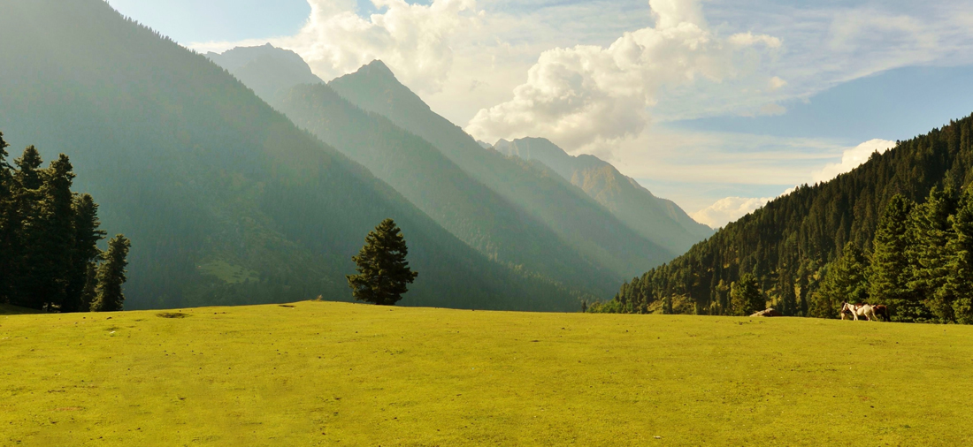 https://d3r8gwkgo0io6y.cloudfront.net/upload/L2/India-kashmir-pahalgal-aru-7.jpg