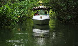 https://d3r8gwkgo0io6y.cloudfront.net/upload/L3/poovar--.jpg
