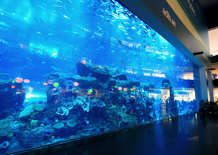 https://d3r8gwkgo0io6y.cloudfront.net/upload/LD/UAE-Dubai-dubai-mall-aquarium-1.jpg
