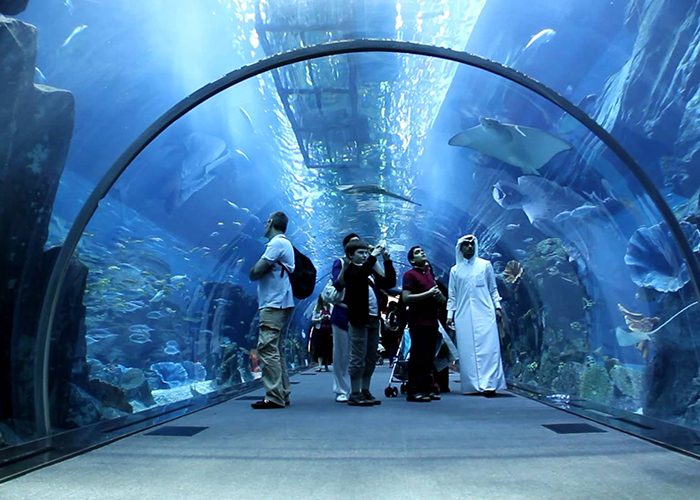 https://d3r8gwkgo0io6y.cloudfront.net/upload/LD/UAE-Dubai-dubai-mall-aquarium-3.jpg