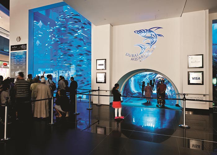 https://d3r8gwkgo0io6y.cloudfront.net/upload/LD/UAE-Dubai-dubai-mall-aquarium-4.jpg