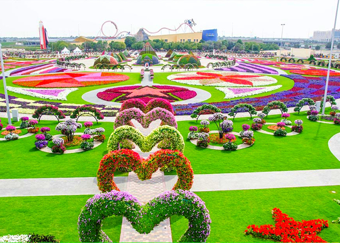 https://d3r8gwkgo0io6y.cloudfront.net/upload/LD/UAE-abu-dhabi-miracal-garden-1.jpg