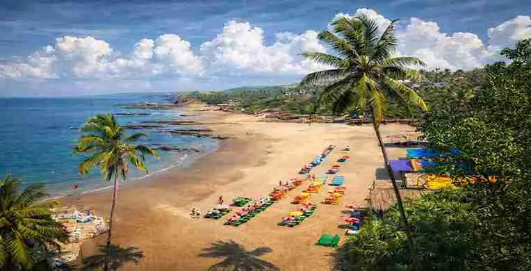 GOA MY FAIR LADY CELEBRITY SPECIAL