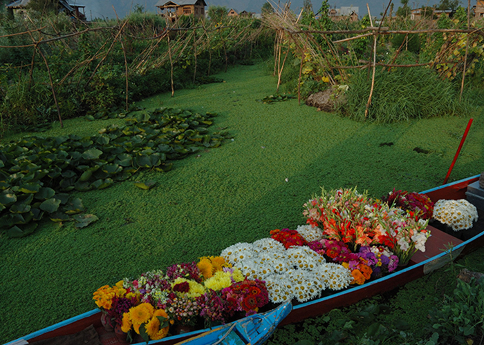 https://d3r8gwkgo0io6y.cloudfront.net/upload/LP/FloATING-MARKET-Shikara.jpg