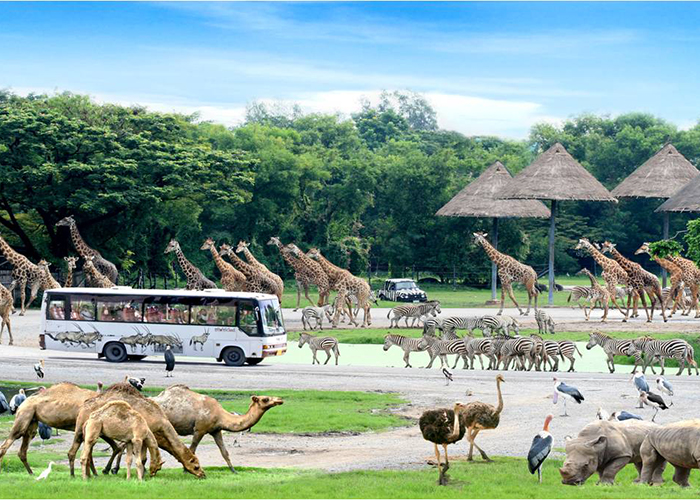 https://d3r8gwkgo0io6y.cloudfront.net/upload/LT/thailand-bangkok-safari-world-1.jpg