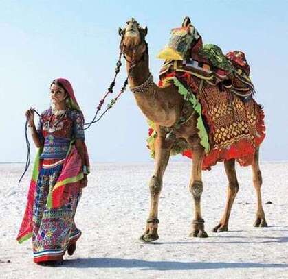 GUJARAT RANN UTSAV  WOMEN'S SPECIAL