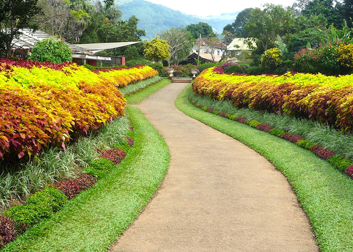 https://d3r8gwkgo0io6y.cloudfront.net/upload/ML/Asia-Srilanka-nuwaraeliya-hakagala-botanical-garden-3.jpg