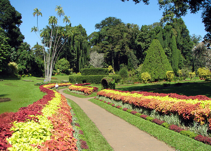 https://d3r8gwkgo0io6y.cloudfront.net/upload/MM/Asia-Srilanka-nuwaraeliya-hakagala-botanical-garden-4.jpg
