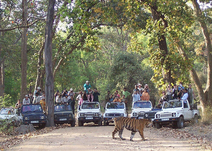 https://d3r8gwkgo0io6y.cloudfront.net/upload/MP/India-madhya-pradesh-Bandhavgarh-National-2.jpg
