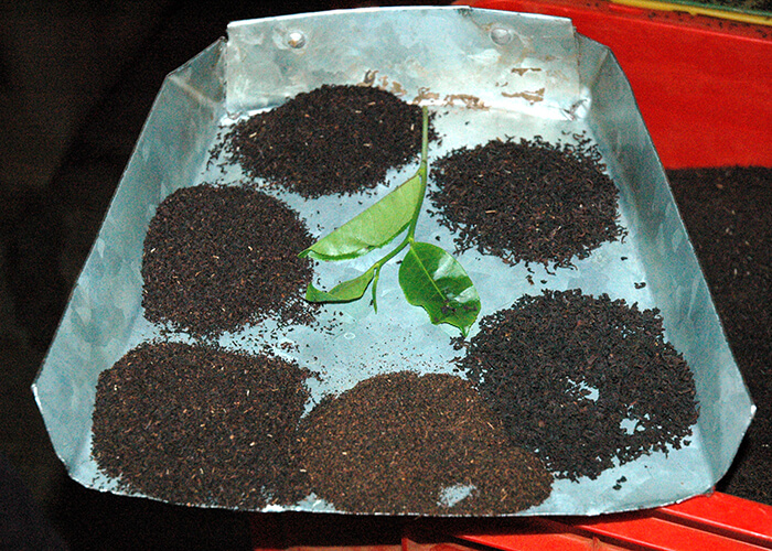https://d3r8gwkgo0io6y.cloudfront.net/upload/MS/Asia-Srilanka-nuwaraeliya-tea-garden-6.jpg