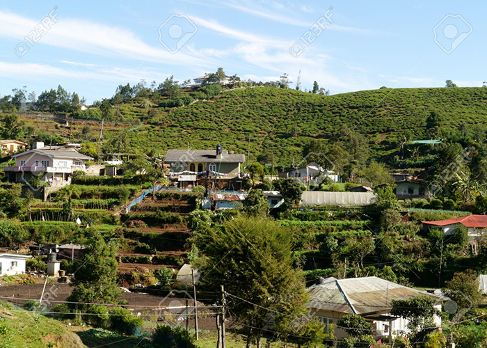 https://d3r8gwkgo0io6y.cloudfront.net/upload/MS/Asia-Srilanka-nuwaraeliya.jpg