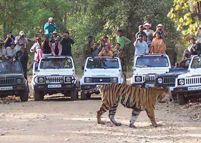 https://d3r8gwkgo0io6y.cloudfront.net/upload/N2/india-nainital-corbett-park-4.jpg