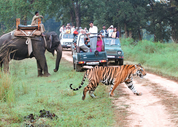 https://d3r8gwkgo0io6y.cloudfront.net/upload/N2/india-nainital-corbett-park-8.jpg