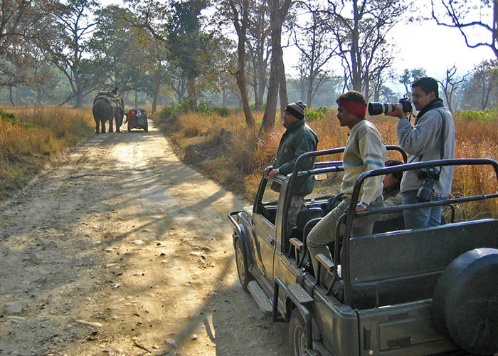 https://d3r8gwkgo0io6y.cloudfront.net/upload/N6/india-nainital-corbett-park-2.jpg