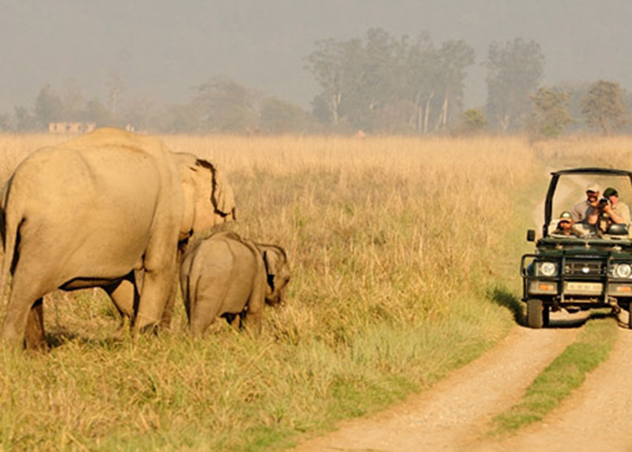 https://d3r8gwkgo0io6y.cloudfront.net/upload/NB/india-nainital-corbett-park-3.jpg