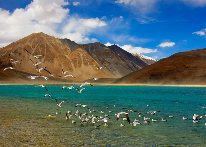 https://d3r8gwkgo0io6y.cloudfront.net/upload/NK/India-north-india-leh-ladakh-pengong-lake-6.jpg