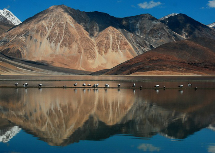 https://d3r8gwkgo0io6y.cloudfront.net/upload/NL/India-north-india-leh-ladakh-pengong-lake-4.jpg