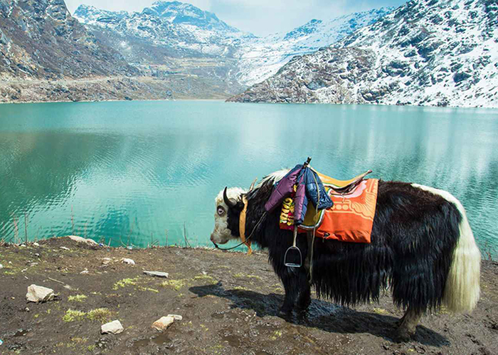 https://d3r8gwkgo0io6y.cloudfront.net/upload/NO/india-sikkim-darjeeling-Gangtok-city2.jpg