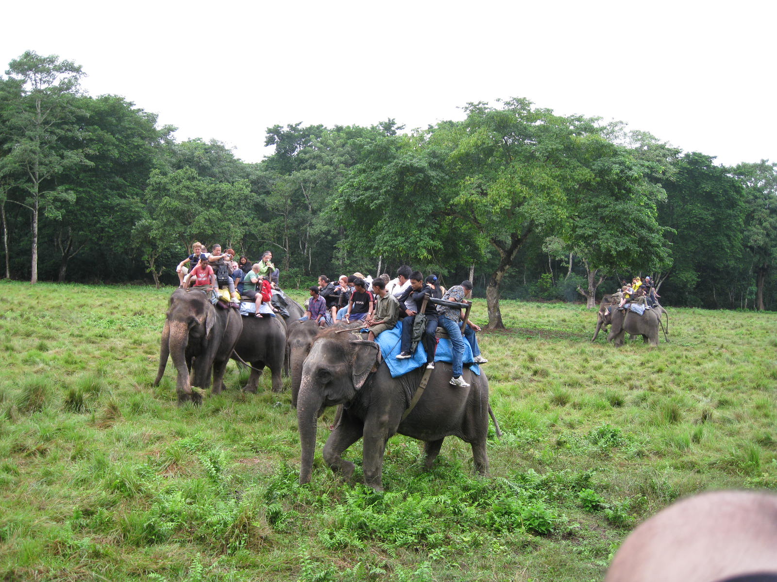 https://d3r8gwkgo0io6y.cloudfront.net/upload/NP/Nepal-Chitwan-National-Park-1.jpg