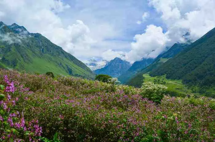 VALLEY OF FLOWERS WITH HARIDWAR RISHIKESH