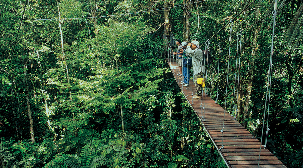 https://d3r8gwkgo0io6y.cloudfront.net/upload/Puerto_Maldonado_Canopy_Walk.jpg