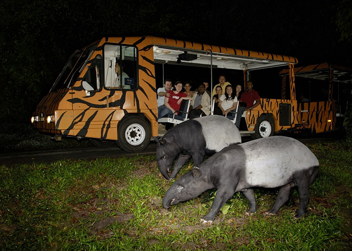 https://d3r8gwkgo0io6y.cloudfront.net/upload/Q2/singapore-Night-Safari-tram-ride.jpg